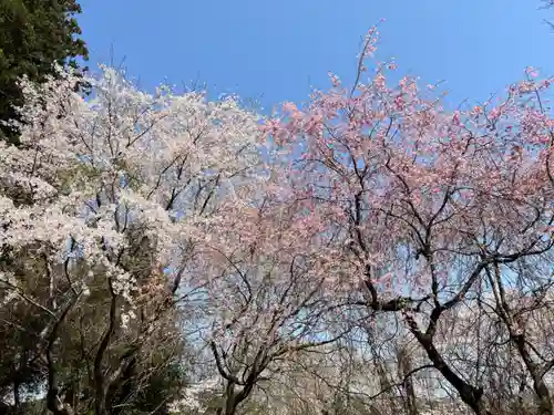 大宮温泉神社(栃木県)