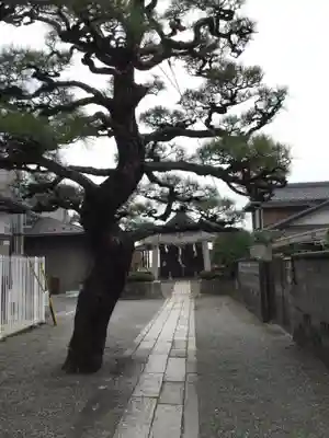都久生須麻神社(滋賀県)