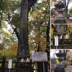 義經神社(北海道)