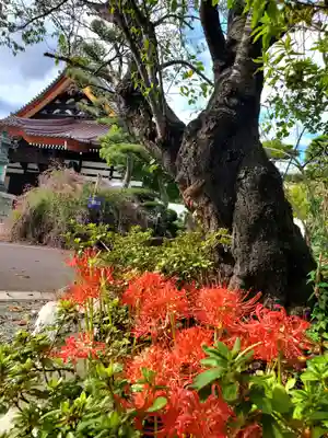 如宝寺(福島県)