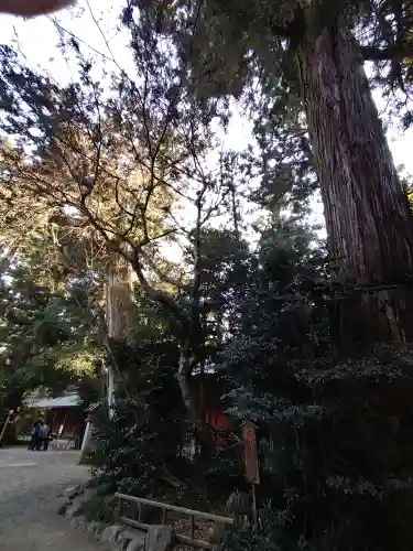 香取神宮(千葉県)