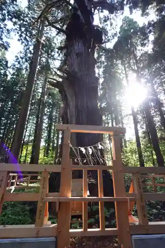 巖鬼山神社(青森県)