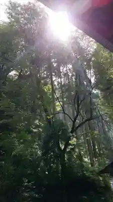 二上神社の自然