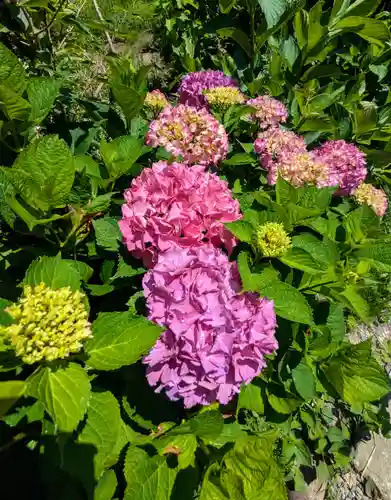 西野神社(北海道)