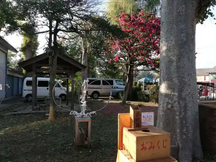香取神社(旭町香取神社・大鳥神社)のおみくじ