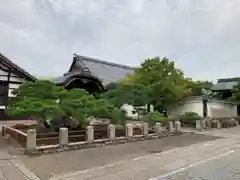 妙覺寺（妙覚寺）(京都府)