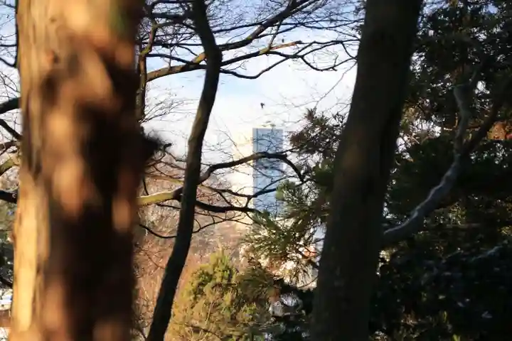 阿久津「田村神社」(郡山市阿久津町)旧社名:伊豆箱根三嶋三社の周辺