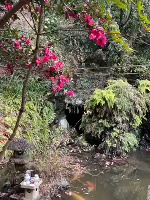 大綱金刀比羅神社(神奈川県)