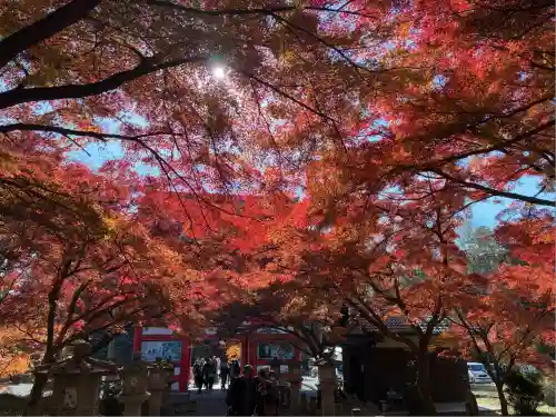 高山寺(兵庫県)