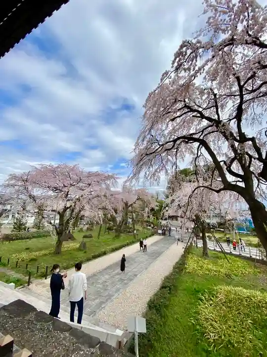 東郷寺(東京都)
