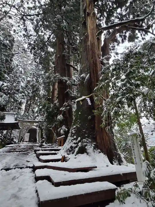白山比咩神社(石川県)