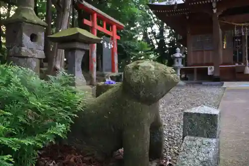 阿久津「田村神社」（郡山市阿久津町）旧社名：伊豆箱根三嶋三社の狛犬