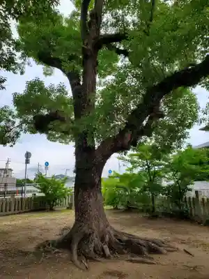 住吉神社の自然