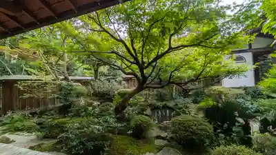 宝泉院(京都府)