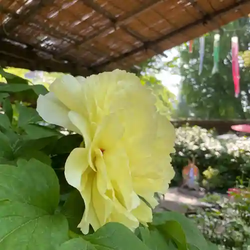 上野東照宮(東京都)