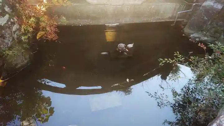 若宮神明社のその他建物