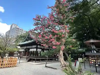 白峯神宮(京都府)