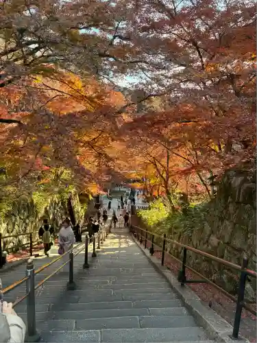 清水寺(京都府)