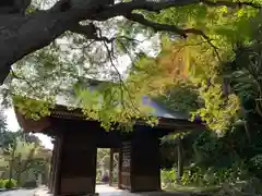 普門寺(切り絵御朱印発祥の寺)の山門