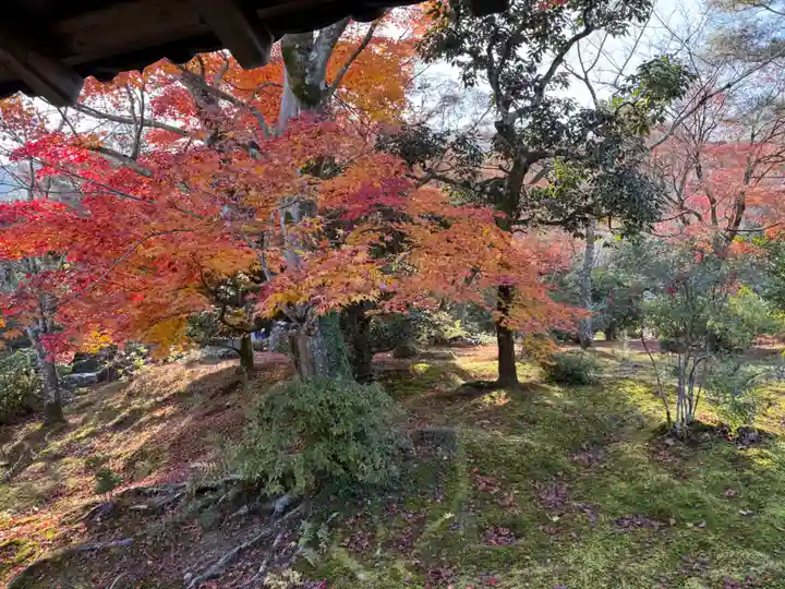 天龍寺(京都府)