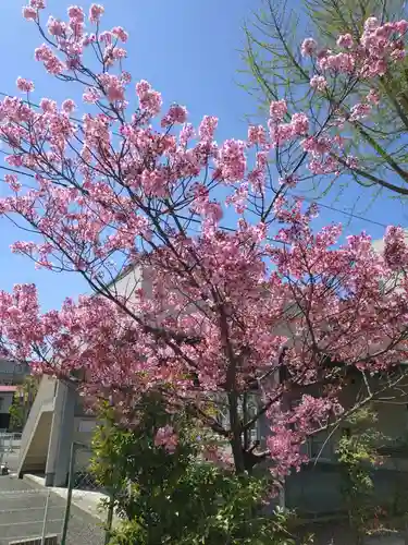 阿邪訶根神社(福島県)