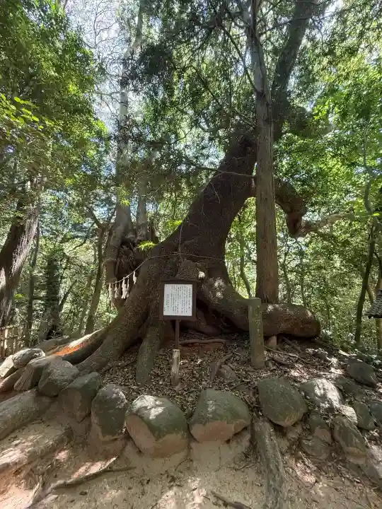 住吉神社の{uncategorized: "未分類", other: "その他", undefined: "問題あり", building: "その他建物", grave: "お墓", sacred_gate: "鳥居", guardian: "狛犬", statue: "像", buddha: "仏像", history: "歴史", nature: "自然", garden: "庭園", animal: "動物", pagoda: "塔", temizu: "手水舎", mountain_gate: "山門・神門", sanctuary: "本殿・本堂", subordinate: "末社・摂社", art: "芸術", scenery: "景色", jizo: "地蔵", ema: "絵馬", goshuin: "御朱印", omikuji: "おみくじ", items: "授与品その他", amulet: "お守り", goshuincho: "御朱印帳", eats: "食事", festival: "お祭り", votive_dance: "神楽", shichigosan: "七五三参", wedding: "結婚式", experience: "体験その他", initially: "初詣", around: "周辺", anti_infection: "感染症対策"}