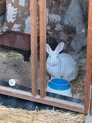 山家神社(長野県)