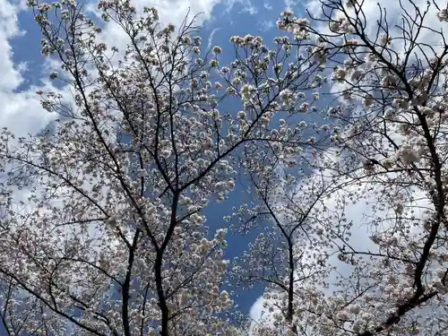 宝菩提院願徳寺(京都府)