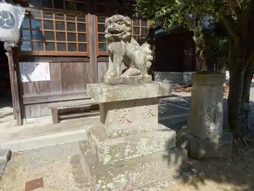 阿宗神社の狛犬
