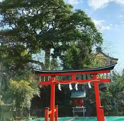 難波大社 生國魂神社の鳥居