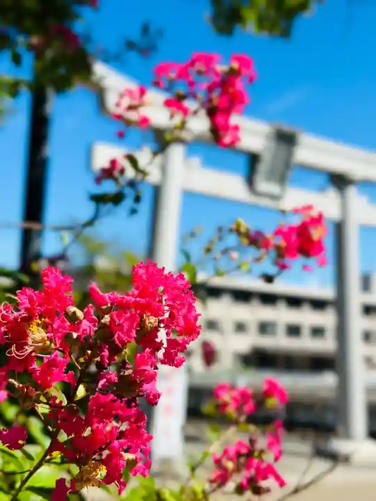 福井神社(福井県)