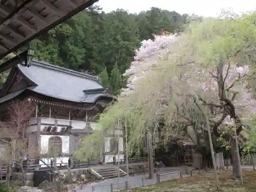 常照皇寺の景色