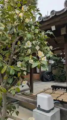 雲林院(京都府)