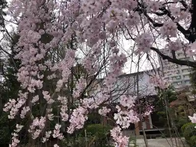 徳泉寺の{uncategorized: "未分類", other: "その他", undefined: "問題あり", building: "その他建物", grave: "お墓", sacred_gate: "鳥居", guardian: "狛犬", statue: "像", buddha: "仏像", history: "歴史", nature: "自然", garden: "庭園", animal: "動物", pagoda: "塔", temizu: "手水舎", mountain_gate: "山門・神門", sanctuary: "本殿・本堂", subordinate: "末社・摂社", art: "芸術", scenery: "景色", jizo: "地蔵", ema: "絵馬", goshuin: "御朱印", omikuji: "おみくじ", items: "授与品その他", amulet: "お守り", goshuincho: "御朱印帳", eats: "食事", festival: "お祭り", votive_dance: "神楽", shichigosan: "七五三参", wedding: "結婚式", experience: "体験その他", initially: "初詣", around: "周辺", anti_infection: "感染症対策"}