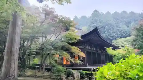 金剛輪寺(滋賀県)