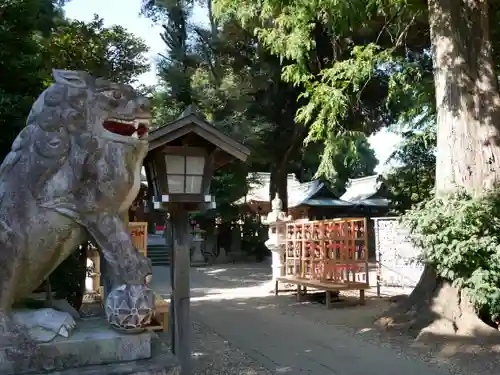 岩槻久伊豆神社の狛犬