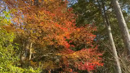 圓光寺(京都府)