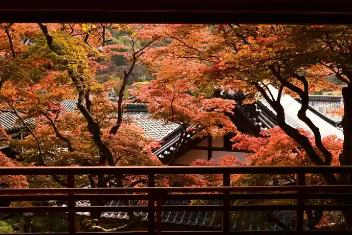 柳谷観音 楊谷寺(京都府)