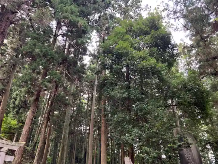 大宮温泉神社(栃木県)