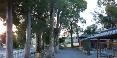 兒神社のその他建物