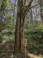 暁堂寺(岐阜県)