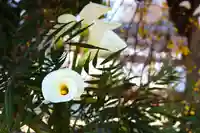 三津厳島神社(愛媛県)