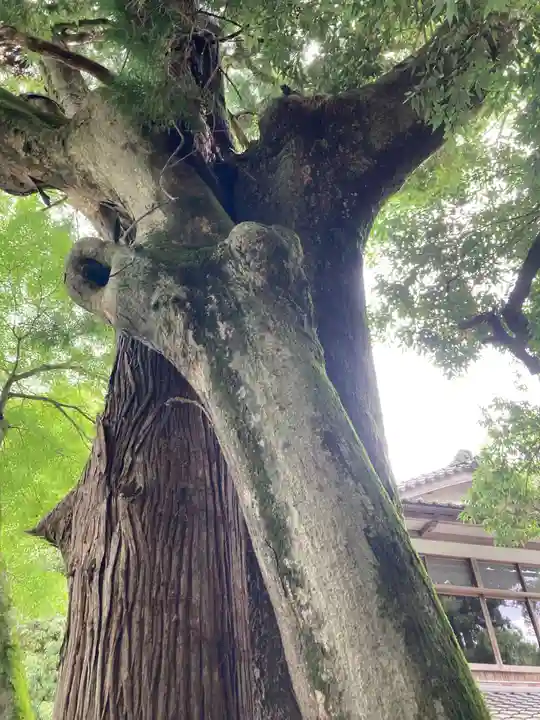 若宮神社(滋賀県)