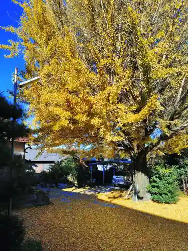 徳翁院(愛知県)