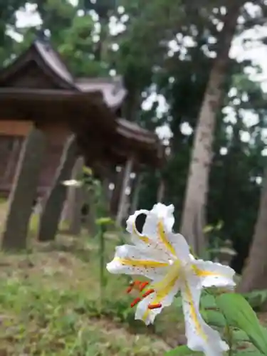 津島本宮社(宮城県)