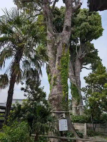 西大寺(岡山県)