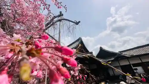 醍醐寺(京都府)