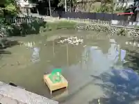 笠覆寺 (笠寺観音)の庭園