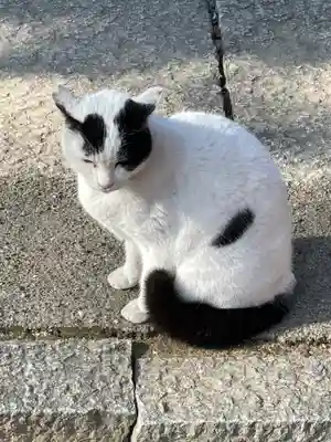 大津神社(大阪府)