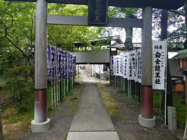 若宮神明社の{uncategorized: "未分類", other: "その他", undefined: "問題あり", building: "その他建物", grave: "お墓", sacred_gate: "鳥居", guardian: "狛犬", statue: "像", buddha: "仏像", history: "歴史", nature: "自然", garden: "庭園", animal: "動物", pagoda: "塔", temizu: "手水舎", mountain_gate: "山門・神門", sanctuary: "本殿・本堂", subordinate: "末社・摂社", art: "芸術", scenery: "景色", jizo: "地蔵", ema: "絵馬", goshuin: "御朱印", omikuji: "おみくじ", items: "授与品その他", amulet: "お守り", goshuincho: "御朱印帳", eats: "食事", festival: "お祭り", votive_dance: "神楽", shichigosan: "七五三参", wedding: "結婚式", experience: "体験その他", initially: "初詣", around: "周辺", anti_infection: "感染症対策"}